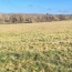  Plan A Immobilier : Terrain | PERONNE (71260) | 0 m2 | 58 290 € 
