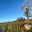  Plan A Immobilier : Ground | FEILLENS (01570) | 0 m2 | 81 810 € 