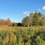  Plan A Immobilier : Ground | FEILLENS (01570) | 0 m2 | 81 810 € 