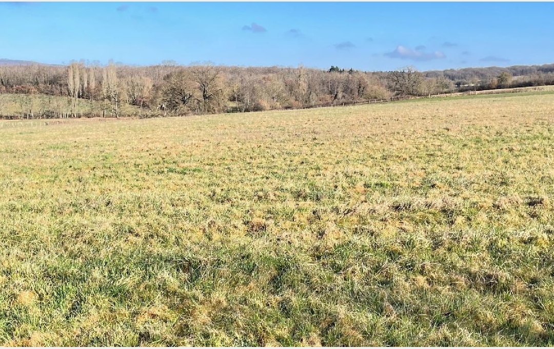 Plan A Immobilier : Terrain | PERONNE (71260) | 0 m2 | 58 290 € 