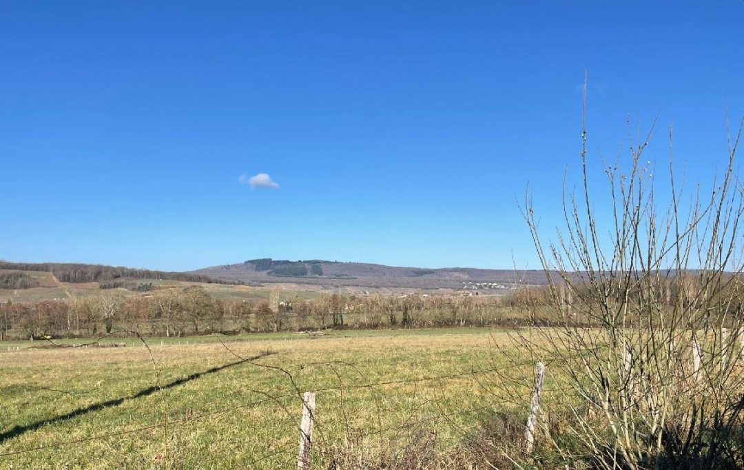 Plan A Immobilier : Terrain | PERONNE (71260) | 0 m2 | 58 290 € 