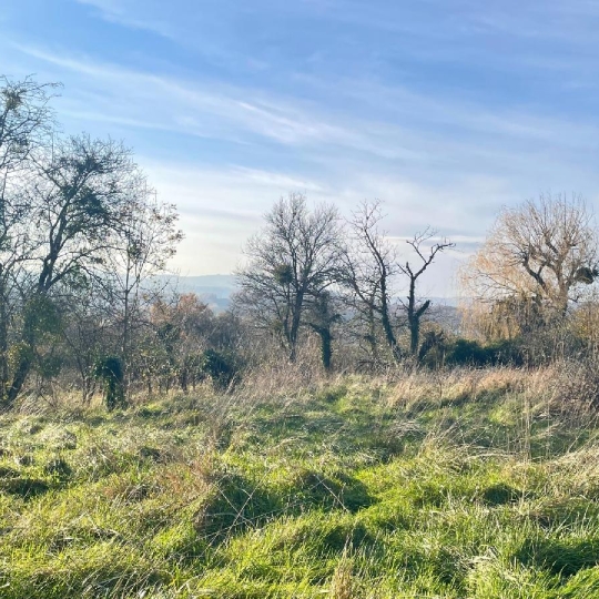 Plan A Immobilier : Terrain | CHARNAY-LES-MACON (71850) | 0.00m2 | 250 000 € 