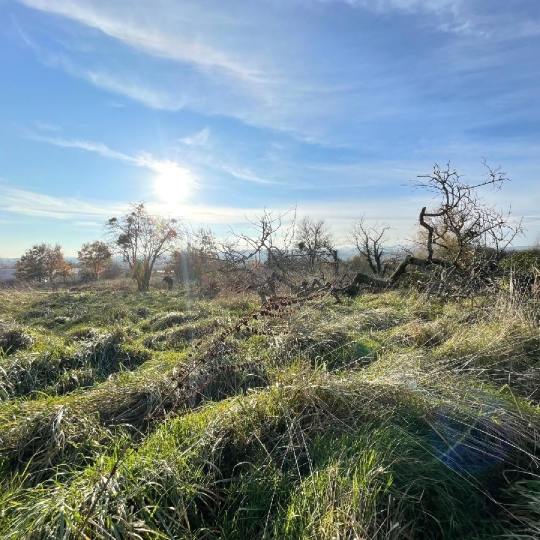  Plan A Immobilier : Terrain | CHARNAY-LES-MACON (71850) | 0 m2 | 250 000 € 