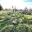  Plan A Immobilier : Terrain | CHARNAY-LES-MACON (71850) | 0 m2 | 250 000 € 