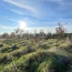  Plan A Immobilier : Terrain | CHARNAY-LES-MACON (71850) | 0 m2 | 250 000 € 