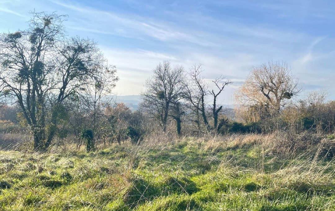 Plan A Immobilier : Terrain | CHARNAY-LES-MACON (71850) | 0 m2 | 250 000 € 