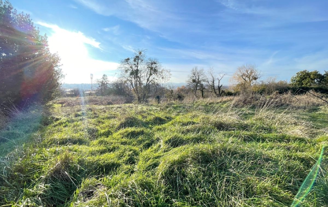 Plan A Immobilier : Terrain | CHARNAY-LES-MACON (71850) | 0 m2 | 250 000 € 