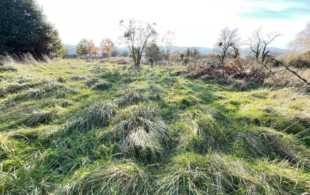 Plan A Immobilier : Terrain | CHARNAY-LES-MACON (71850) | 0 m2 | 250 000 € 
