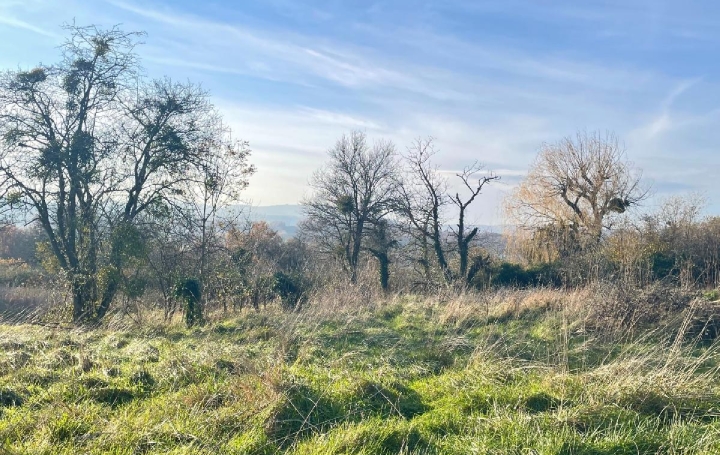 Terrain CHARNAY-LES-MACON 250 000 € Terrain CHARNAY-LES-MACON 250 000 €